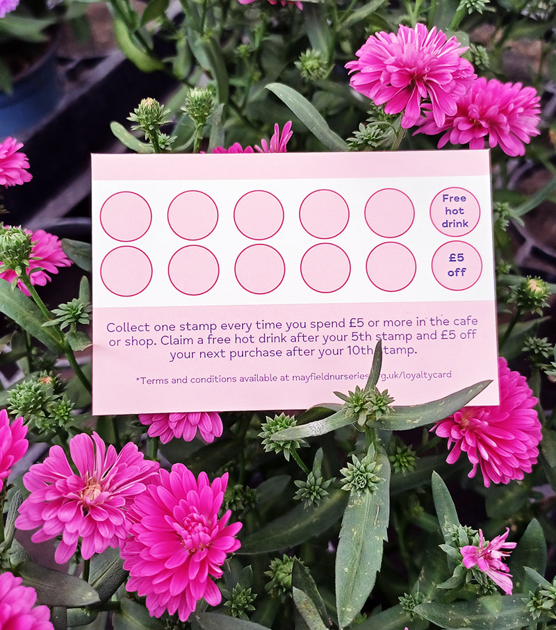 loyalty-card_W800