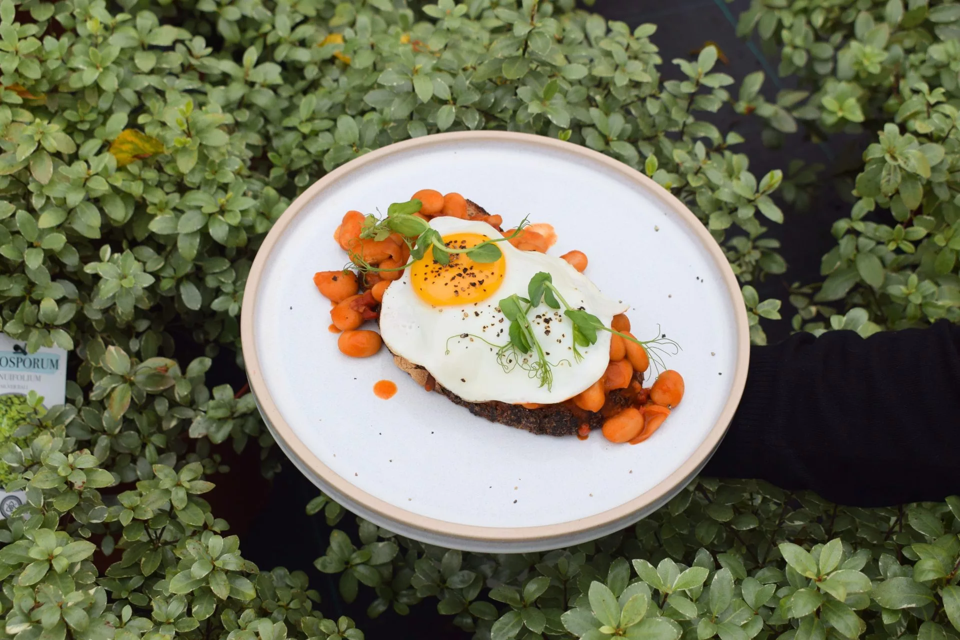 Chorizo toast