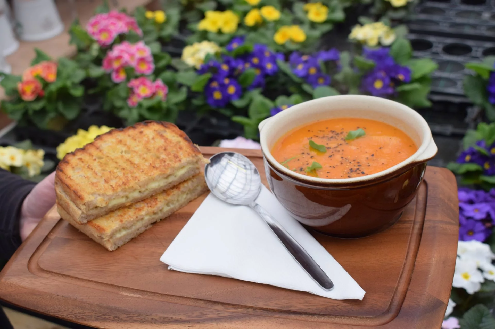 Soup and toastie