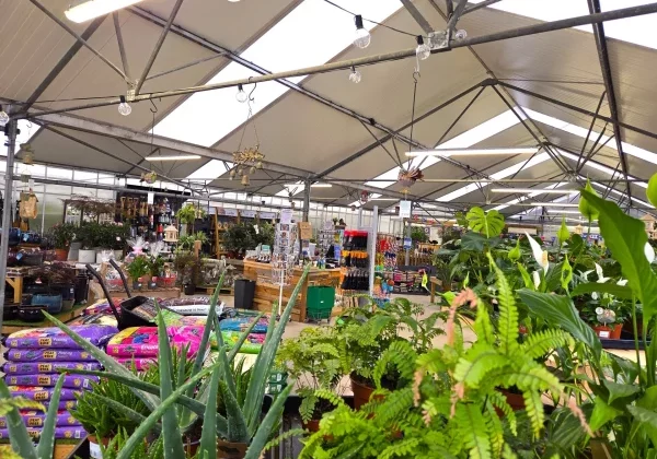 Plants and garden centre shop